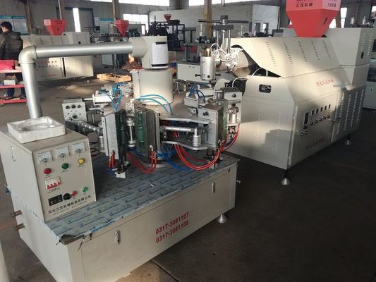 máquina de fabricación 2000kg de la botella del HDPE del PVC 11kw 65/75